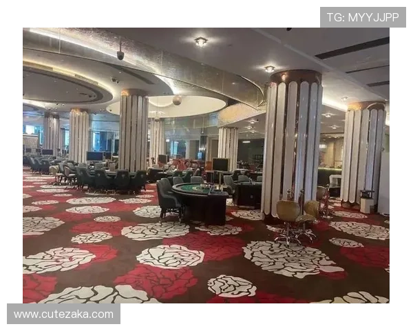 凯发包桌百家乐:打造私人定制的豪华博彩环境 凯发包桌百家乐:打造私人定制的豪华博彩环境