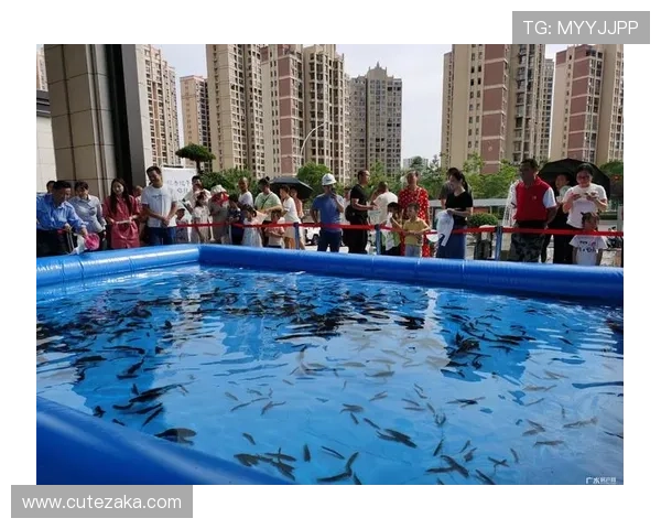 博鱼真人网址官方入口导航,提供多样化真人游戏选择与优质客户服务 博鱼真人网址官方入口导航,提供多样化真人游戏选择与优质客户服务